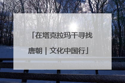 在塔克拉玛干寻找唐朝｜文化中国行