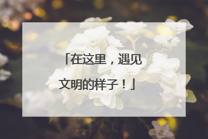 在这里，遇见文明的样子！