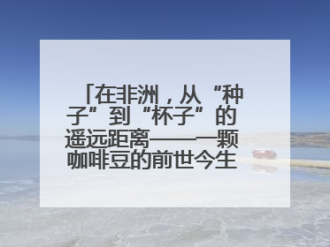 在非洲，从“种子”到“杯子”的遥远距离——一颗咖啡豆的前世今生（三）