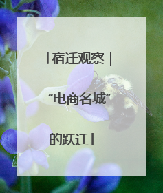 宿迁观察｜“电商名城”的跃迁