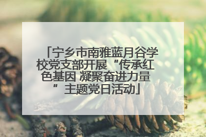 宁乡市南雅蓝月谷学校党支部开展“传承红色基因 凝聚奋进力量”主题党日活动