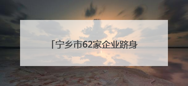 宁乡市62家企业跻身湖南省专精特新榜单！