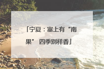 宁夏：塞上有“南果” 四季别样香