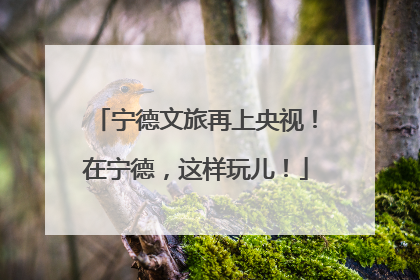 宁德文旅再上央视！在宁德，这样玩儿！