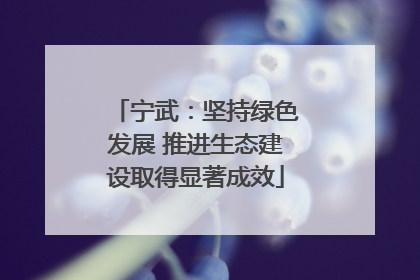 宁武：坚持绿色发展 推进生态建设取得显著成效