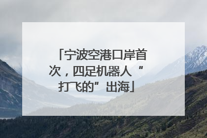 宁波空港口岸首次，四足机器人“打飞的”出海