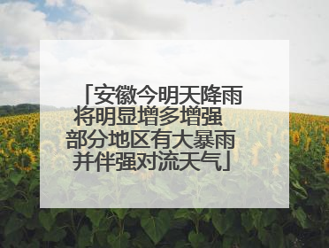 安徽今明天降雨将明显增多增强 部分地区有大暴雨并伴强对流天气