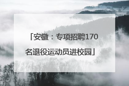 安徽：专项招聘170名退役运动员进校园