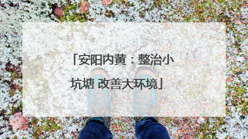 安阳内黄：整治小坑塘 改善大环境