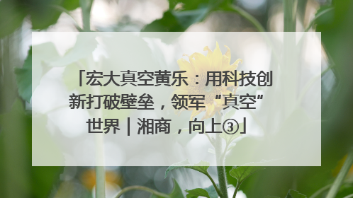 宏大真空黄乐：用科技创新打破壁垒，领军“真空”世界｜湘商，向上③