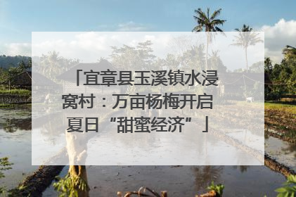 宜章县玉溪镇水浸窝村：万亩杨梅开启夏日“甜蜜经济”