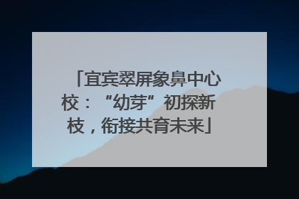 宜宾翠屏象鼻中心校：“幼芽”初探新枝，衔接共育未来
