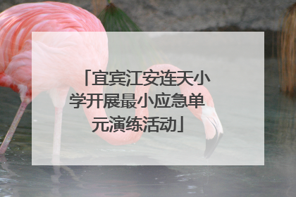 宜宾江安连天小学开展最小应急单元演练活动