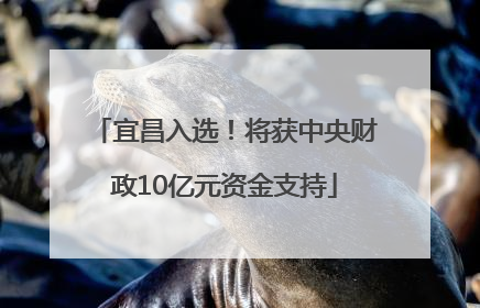 宜昌入选！将获中央财政10亿元资金支持