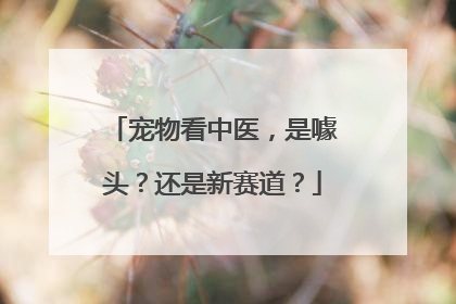 宠物看中医，是噱头？还是新赛道？