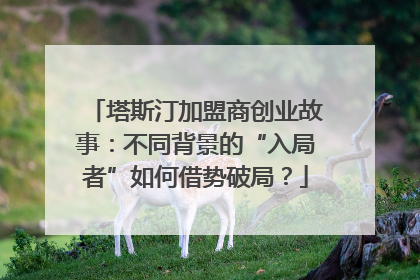 塔斯汀加盟商创业故事：不同背景的“入局者”如何借势破局？