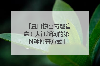 夏日惊喜奇趣盲盒！大江新闻的第N种打开方式