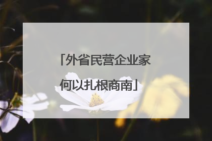 外省民营企业家何以扎根商南