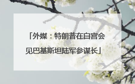 外媒：特朗普在白宫会见巴基斯坦陆军参谋长