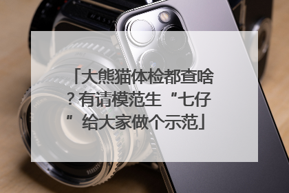 大熊猫体检都查啥？有请模范生“七仔”给大家做个示范