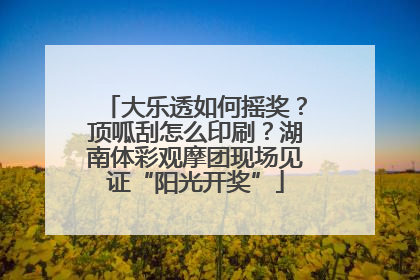 大乐透如何摇奖？顶呱刮怎么印刷？湖南体彩观摩团现场见证“阳光开奖”