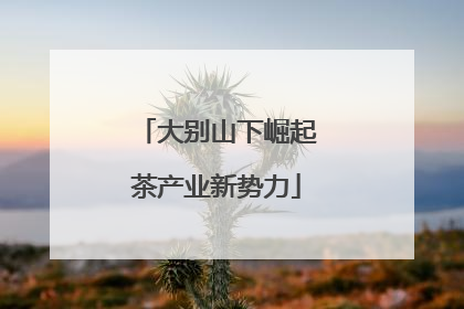 大别山下崛起茶产业新势力