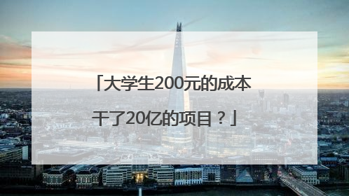 大学生200元的成本干了20亿的项目？