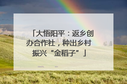 大悟阳平：返乡创办合作社，种出乡村振兴“金稻子”