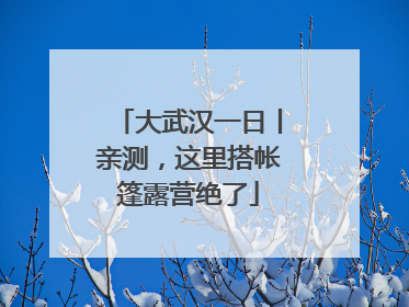 大武汉一日丨亲测，这里搭帐篷露营绝了
