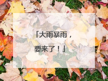 大雨暴雨，要来了！