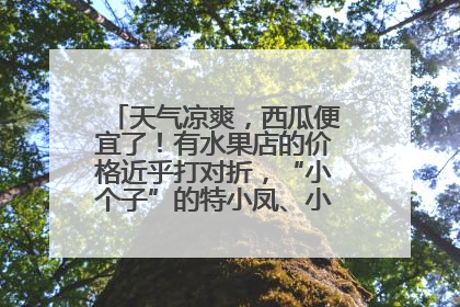 天气凉爽，西瓜便宜了！有水果店的价格近乎打对折，“小个子”的特小凤、小糖丸更好卖