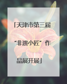 天津市第三届“非遗小匠”作品展开展