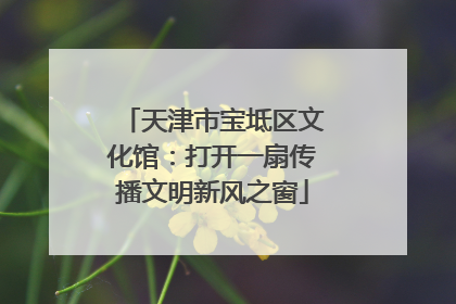 天津市宝坻区文化馆：打开一扇传播文明新风之窗
