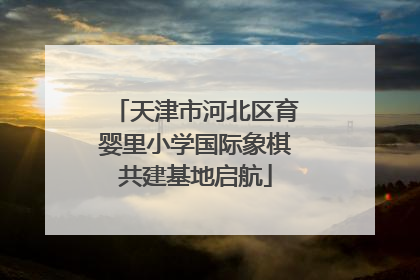 天津市河北区育婴里小学国际象棋共建基地启航