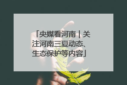 央媒看河南｜关注河南三夏动态、生态保护等内容