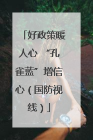 好政策暖人心 “孔雀蓝”增信心（国防视线）