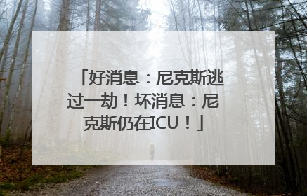 好消息：尼克斯逃过一劫！坏消息：尼克斯仍在ICU！