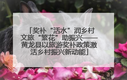 奖补“活水”润乡村 文旅“繁花”助振兴——黄龙县以旅游奖补政策激活乡村振兴新动能