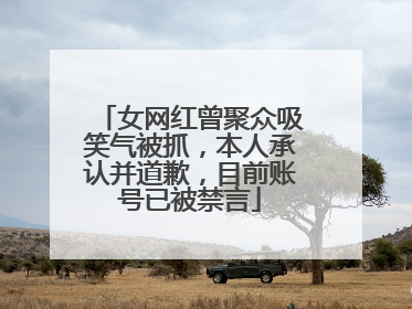 女网红曾聚众吸笑气被抓，本人承认并道歉，目前账号已被禁言