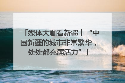媒体大咖看新疆丨“中国新疆的城市非常繁华，处处都充满活力”