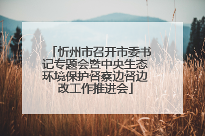 忻州市召开市委书记专题会暨中央生态环境保护督察边督边改工作推进会