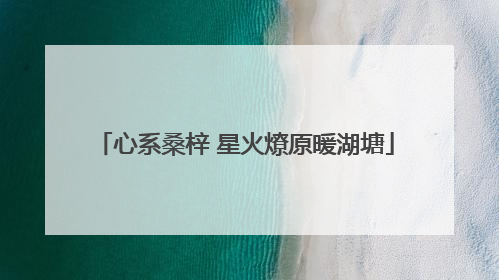 心系桑梓 星火燎原暖湖塘