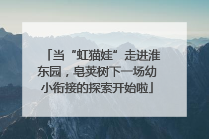 当“虹猫娃”走进淮东园，皂荚树下一场幼小衔接的探索开始啦