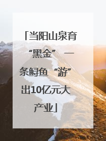 当阳山泉育“黑金” 一条鲟鱼“游”出10亿元大产业