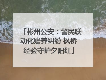 彬州公安：警民联动化赡养纠纷 枫桥经验守护夕阳红