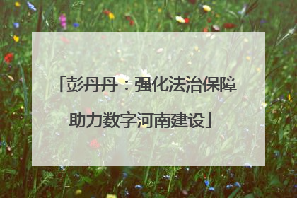 彭丹丹：强化法治保障 助力数字河南建设