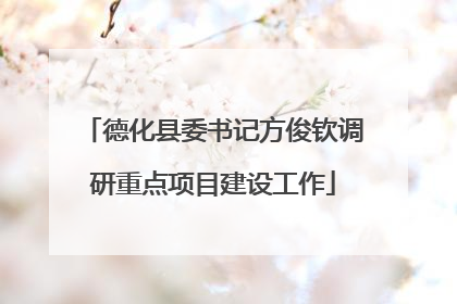 德化县委书记方俊钦调研重点项目建设工作