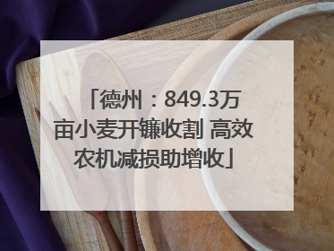 德州：849.3万亩小麦开镰收割 高效农机减损助增收