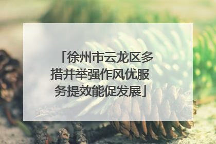徐州市云龙区多措并举强作风优服务提效能促发展