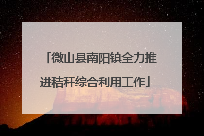 微山县南阳镇全力推进秸秆综合利用工作